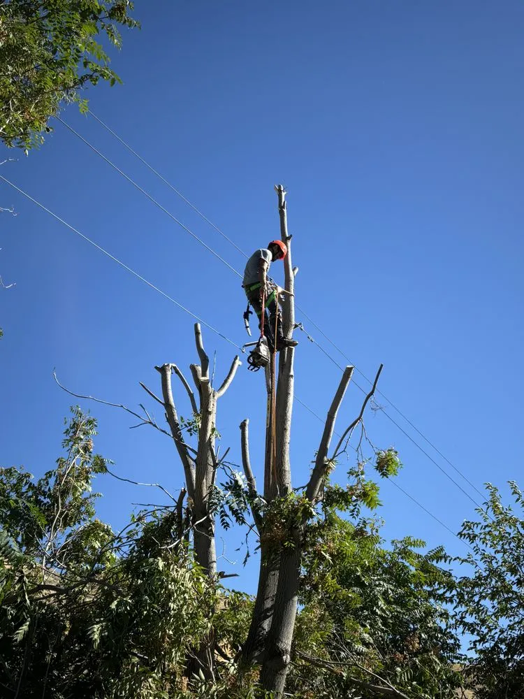 Custom residential landscaping with custom design in Wenatchee, WA by Boulder Landscaping