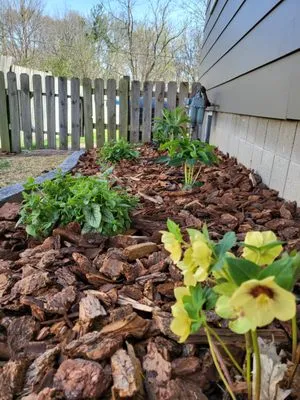 Boulder Ridge Landscaping