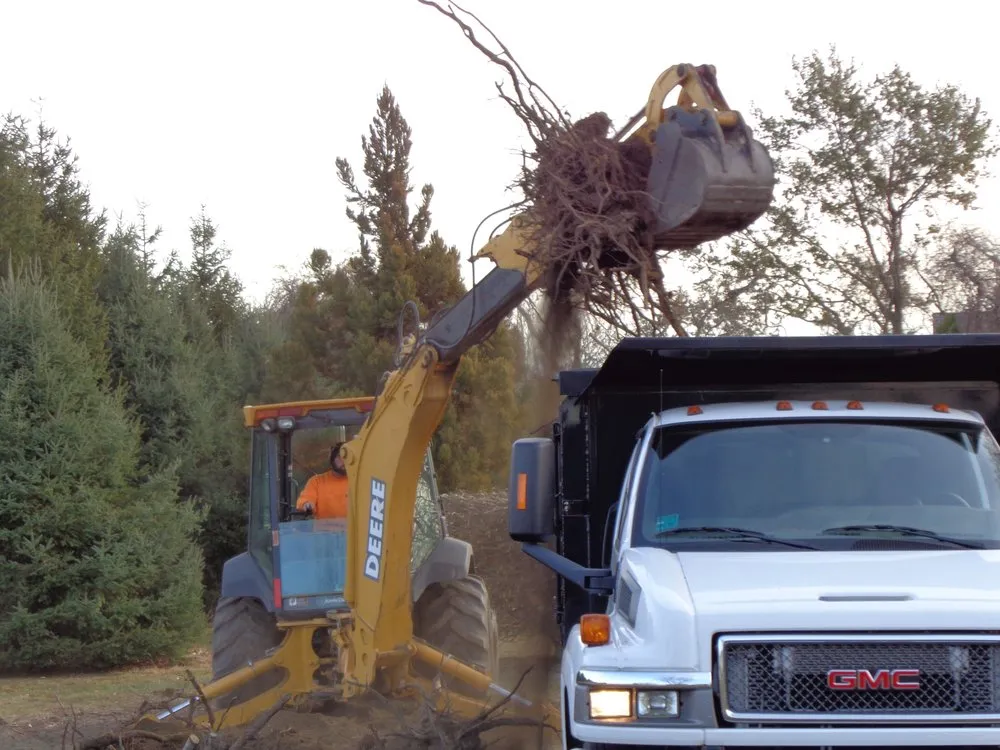 Local outdoor landscaping for outdoor upgrades across Middletown, RI - Boulevard Nurseries