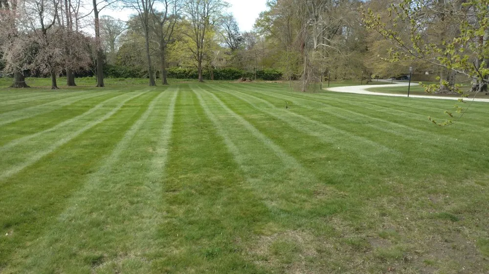 Expert landscaping services in Middletown, RI - Boulevard Nurseries