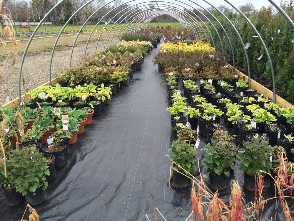 Trusted lawn mowing service experts serving Middletown, RI - Boulevard Nurseries