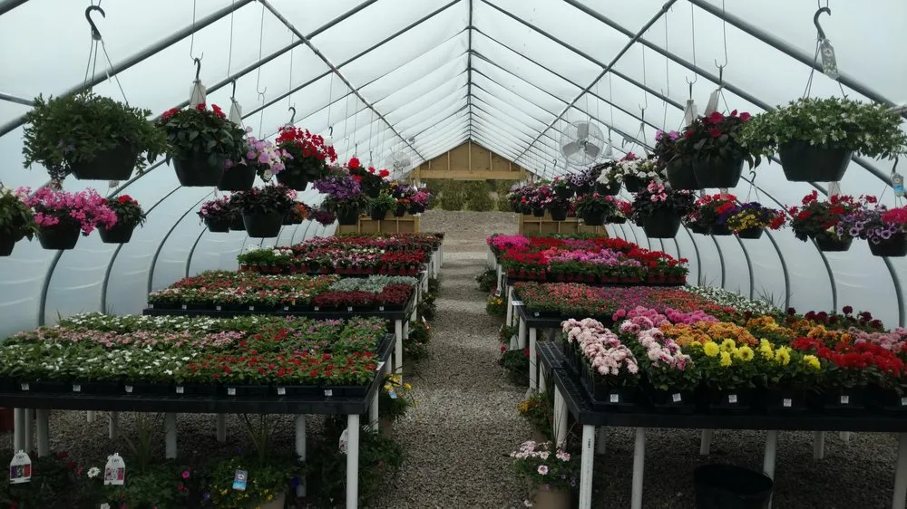 Professional landscape installation near you in Middletown, RI by Boulevard Nurseries