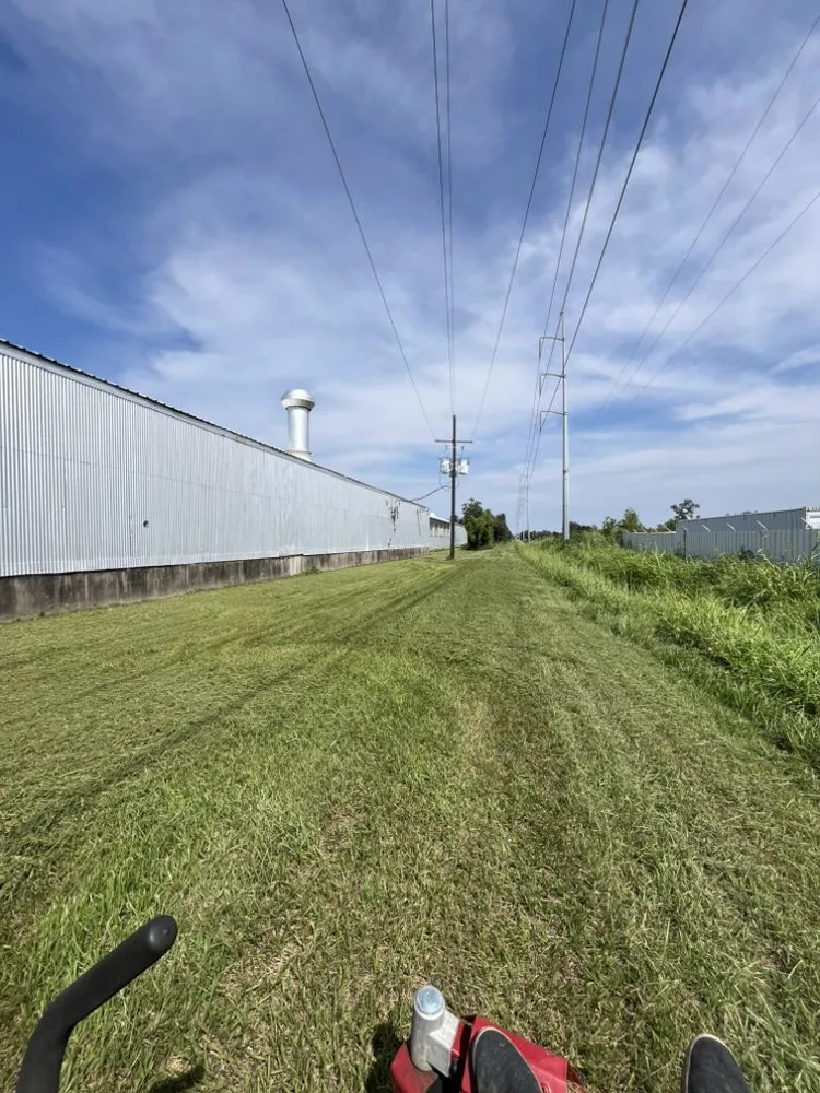Affordable lawn care service for outdoor upgrades across New Orleans, LA - Boundless Task-Force