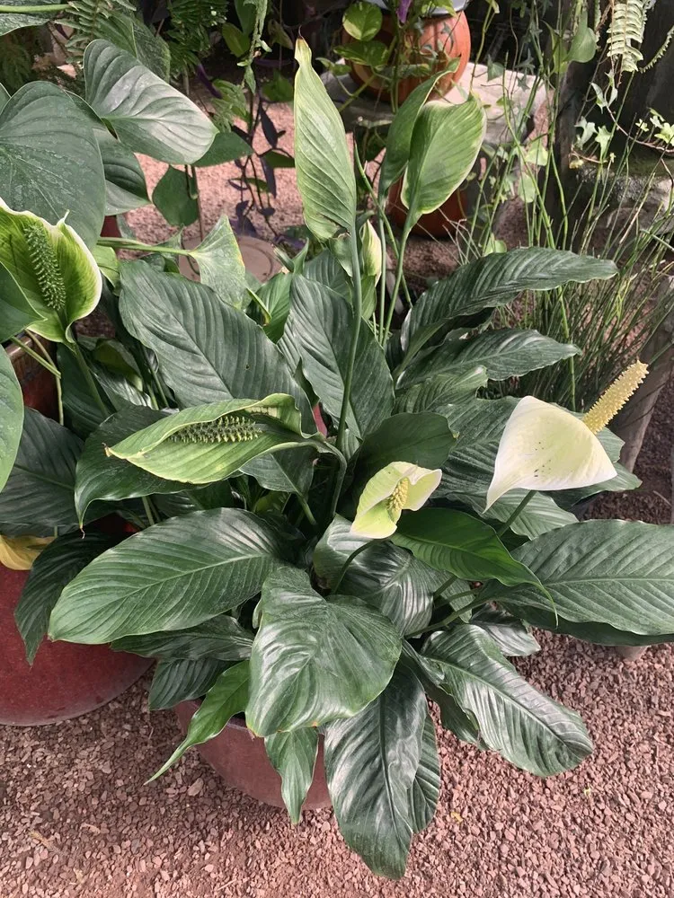 Trusted landscape installation in Buckingham, PA - Bountiful Acres