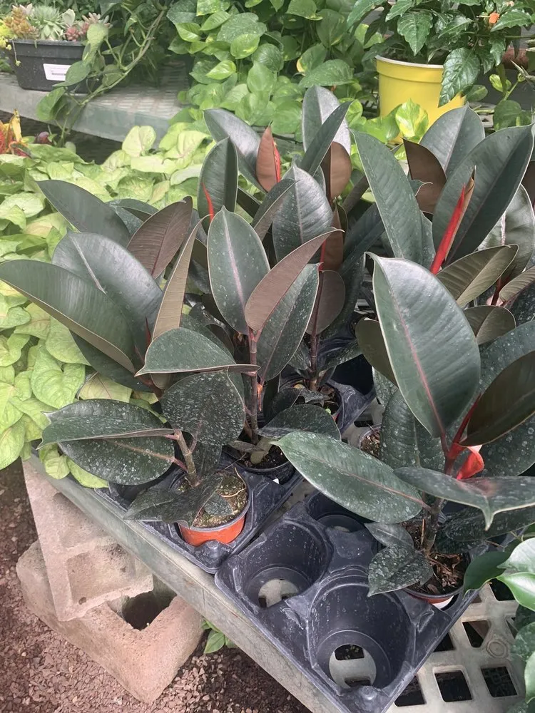 Affordable landscape design experts serving Buckingham, PA - Bountiful Acres