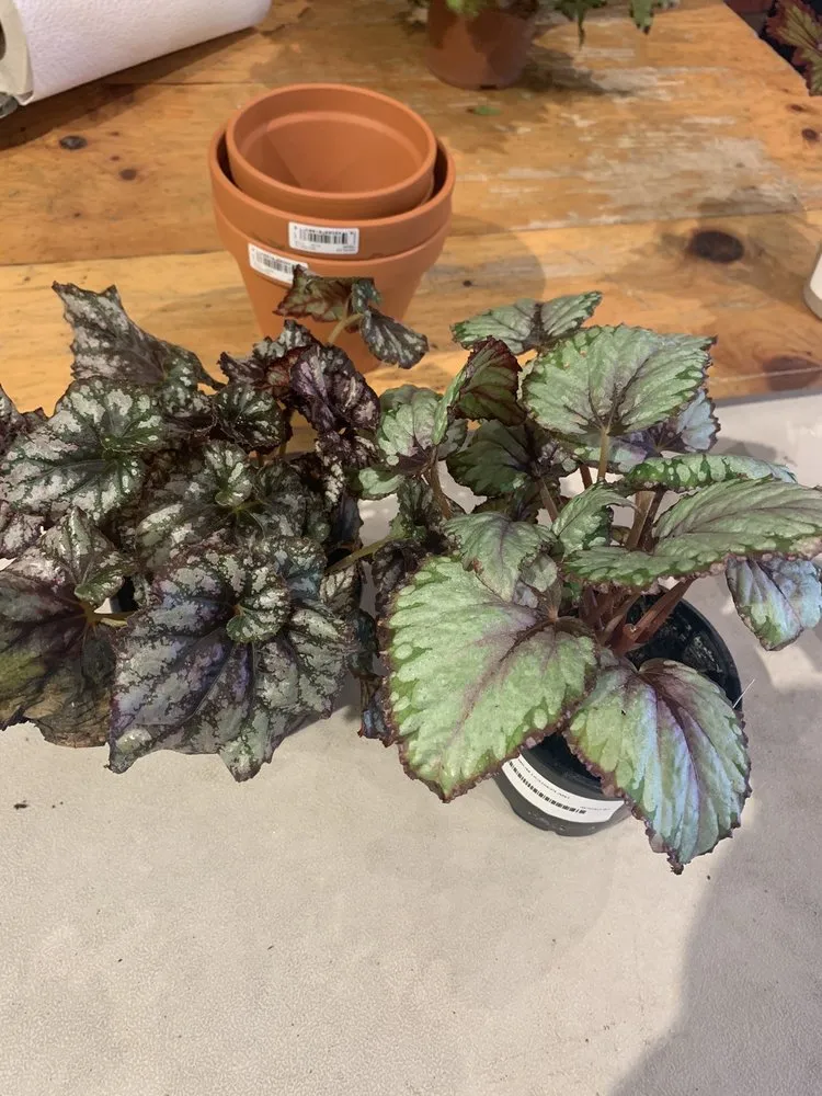 Trusted landscape installation in Buckingham, PA by Bountiful Acres