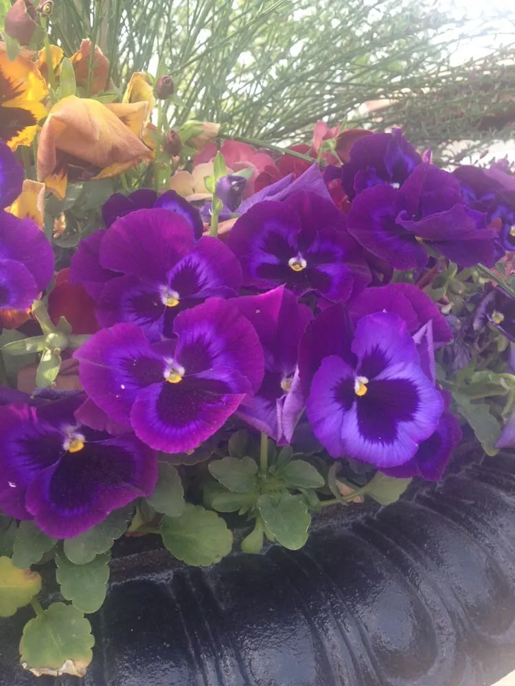 Reliable landscaping services near you in Buckingham, PA by Bountiful Acres