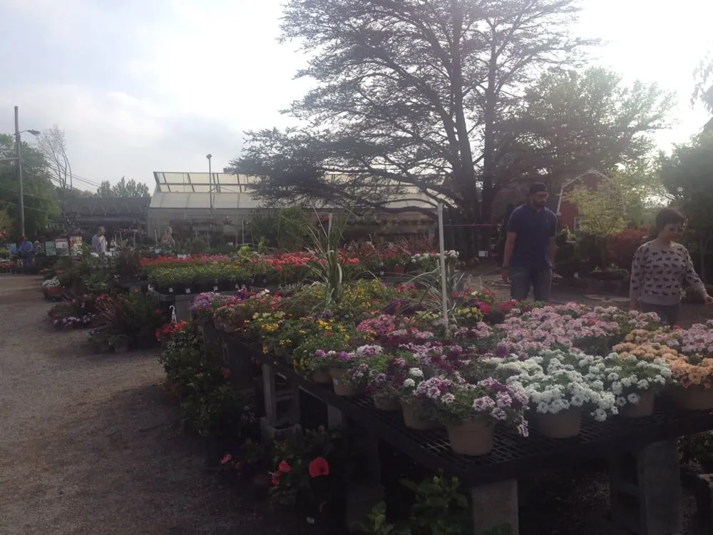 Reliable garden landscaping in Buckingham, PA by Bountiful Acres