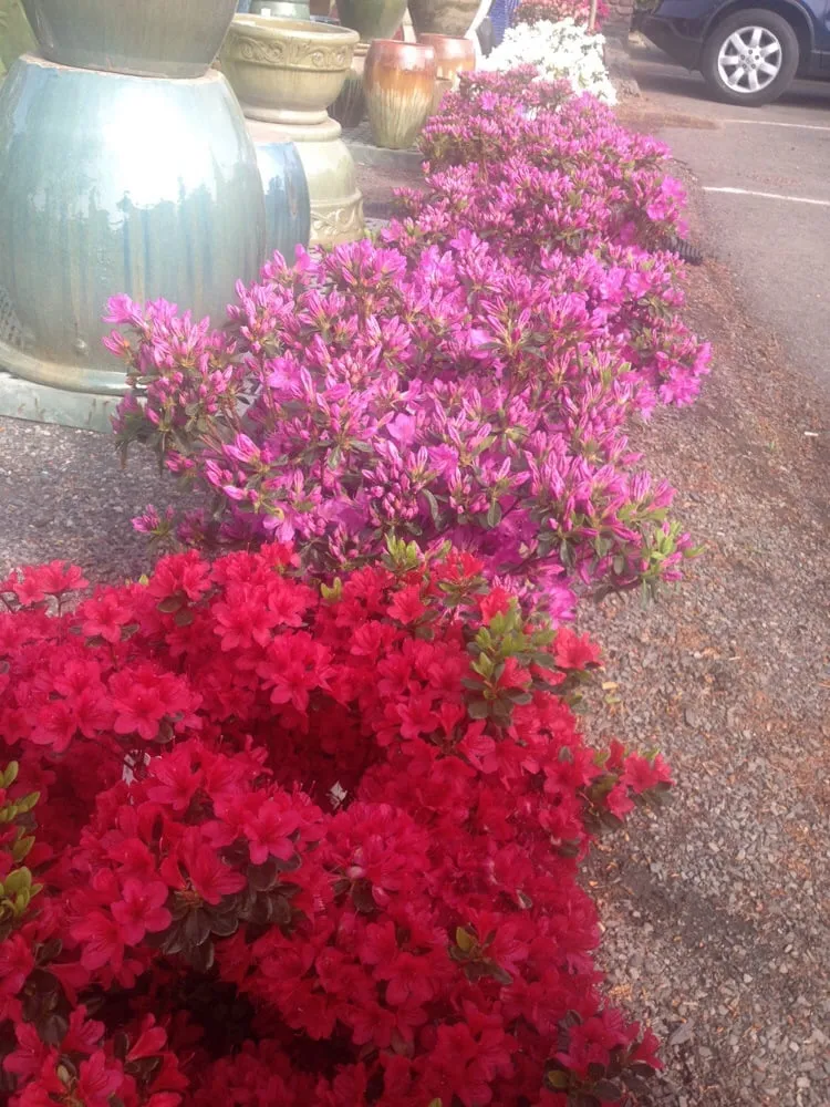 Trusted landscaping services in Buckingham, PA - Bountiful Acres