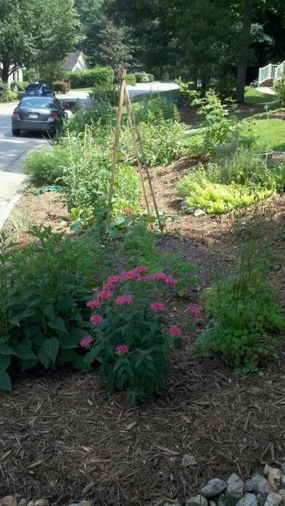 Professional lawn mowing service for homes in Durham, NC by Bountiful Backyards