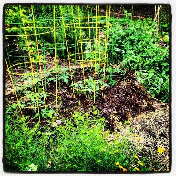 Expert residential landscaping for outdoor upgrades across Durham, NC - Bountiful Backyards