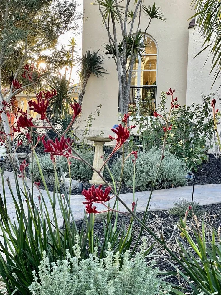 Professional landscaping services experts serving Oakland, CA - Bountiful Botanicals, Inc.