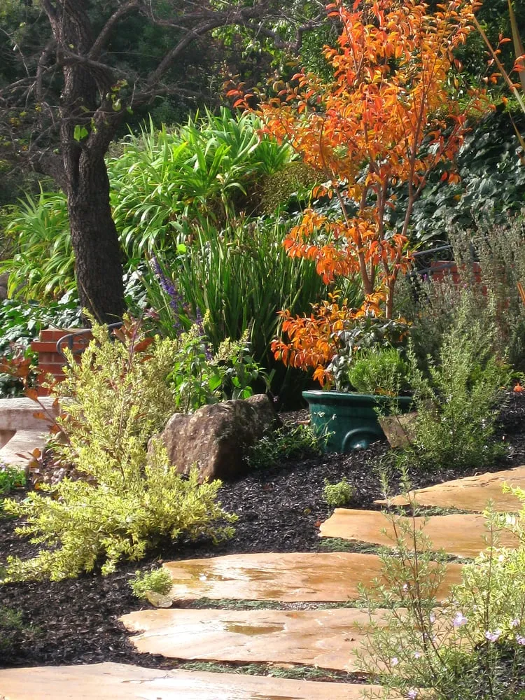 Trusted landscaping services in Oakland, CA by Bountiful Botanicals, Inc.