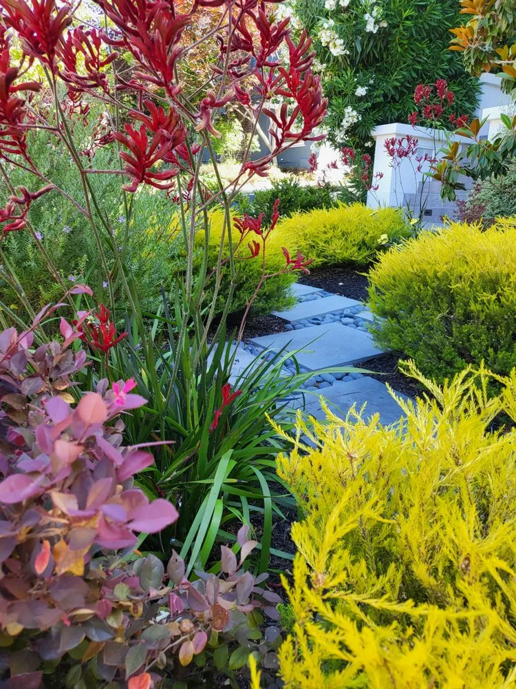 Reliable yard maintenance in Oakland, CA by Bountiful Botanicals, Inc.