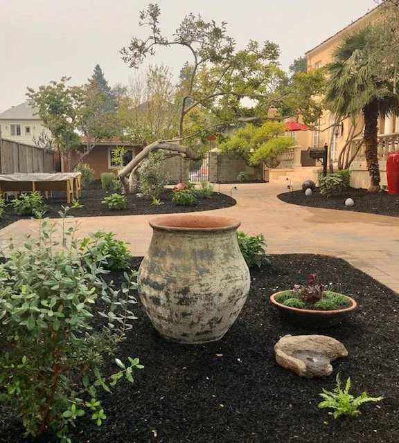 Custom lawn care service experts serving Oakland, CA - Bountiful Botanicals, Inc.