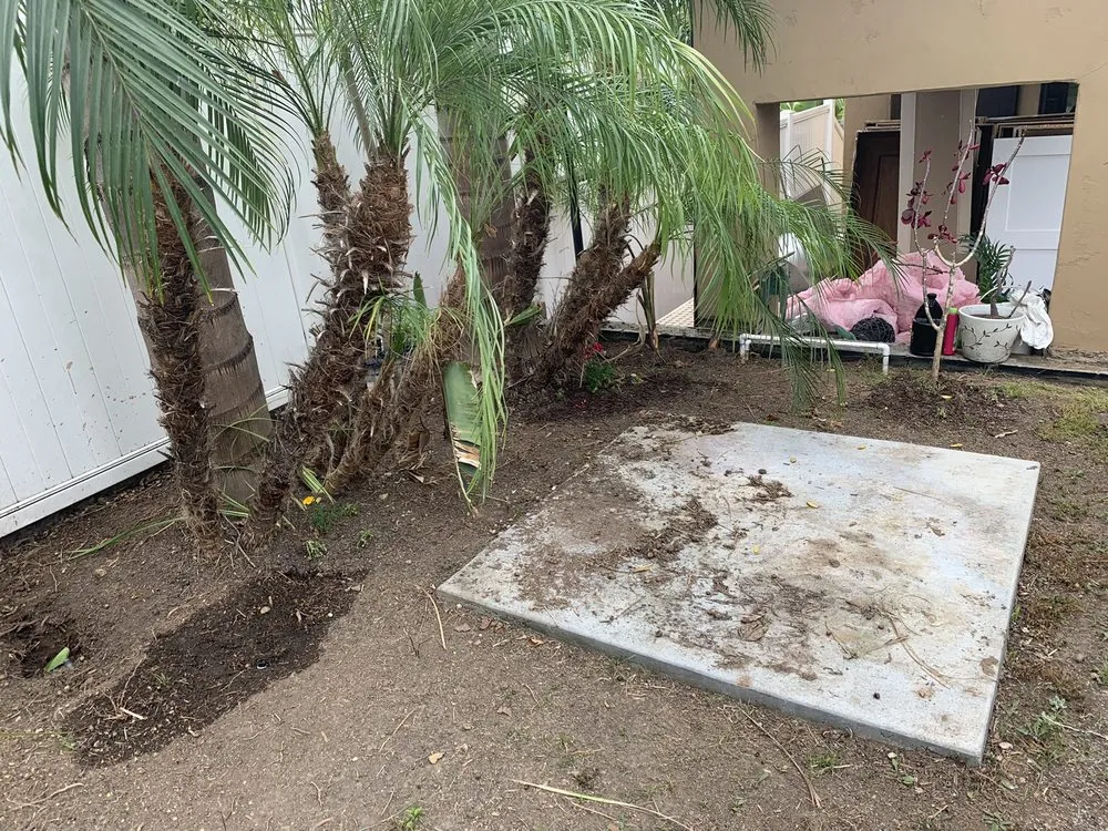 Local yard cleanup service near you in El Cajon, CA by Bountiful Harvest Gardening