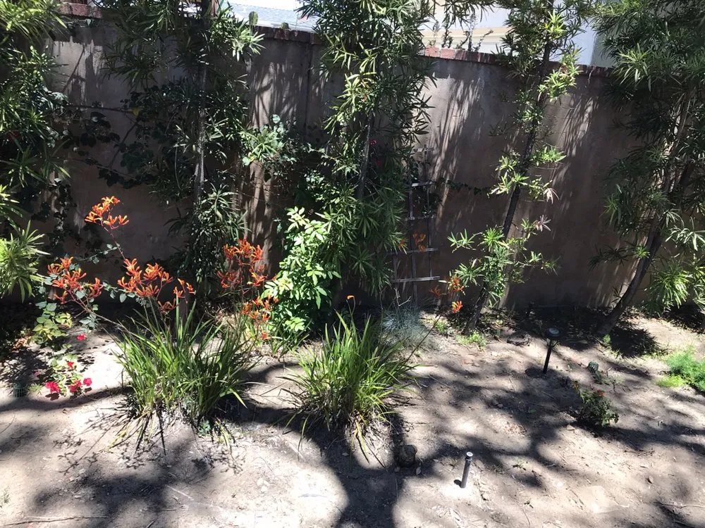 Local lawn mowing service in El Cajon, CA - Bountiful Harvest Gardening