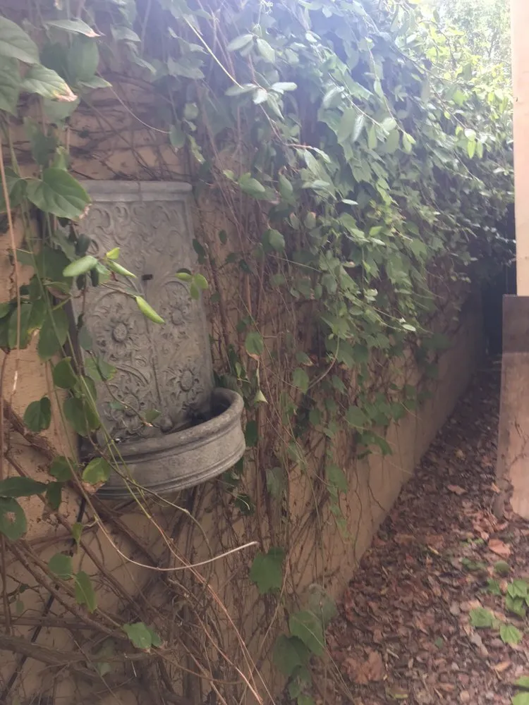 Trusted landscape installation in El Cajon, CA - Bountiful Harvest Gardening