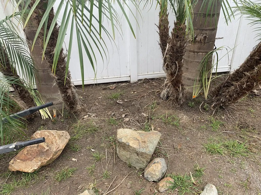 Reliable landscaping services in El Cajon, CA - Bountiful Harvest Gardening