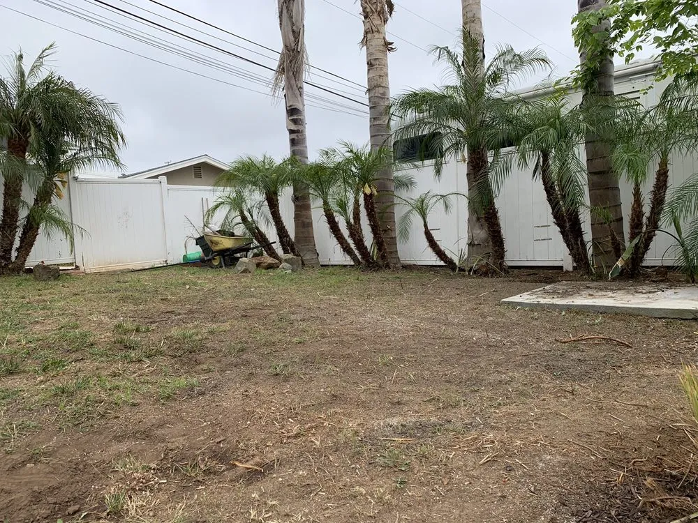 Professional residential landscaping in El Cajon, CA - Bountiful Harvest Gardening