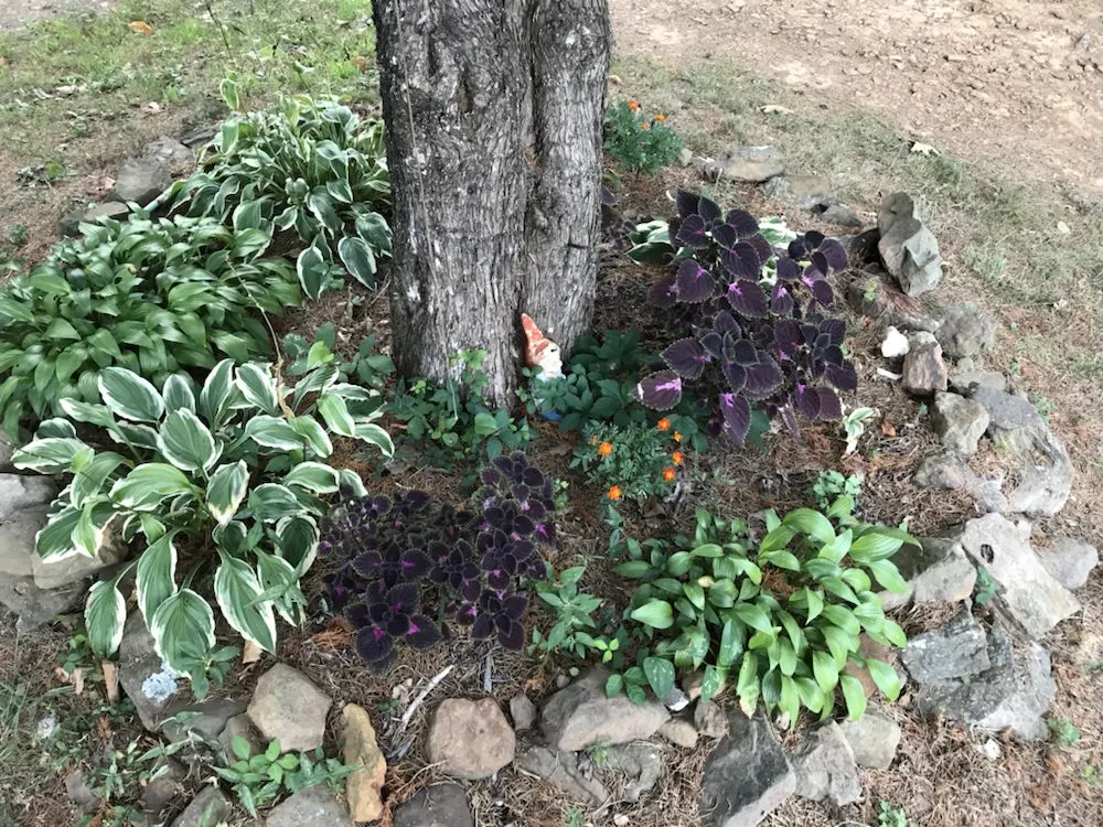 Expert landscape design near you across El Cajon, CA - Bountiful Harvest Gardening