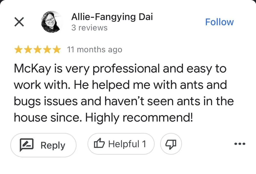 Affordable yard cleanup service in Salt Lake City, UT by Bountiful Lawns