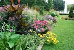 Custom landscape design for beautiful yards across Denver, CO - Bountiful Yard Services