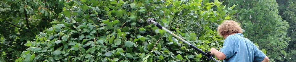 Trusted landscape installation in Lakeside, CA by Bourdon's True Tree Service