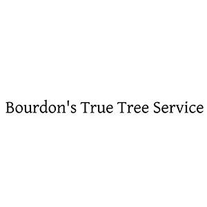 Local yard maintenance with custom design in Lakeside, CA by Bourdon's True Tree Service