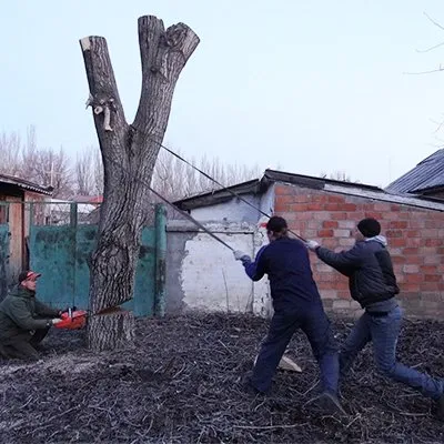 Trusted residential landscaping in Lakeside, CA by Bourdon's True Tree Service