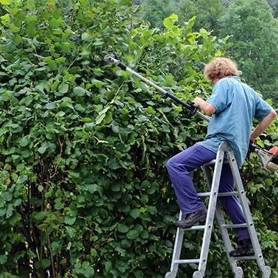 Reliable lawn mowing service for beautiful yards in Lakeside, CA by Bourdon's True Tree Service