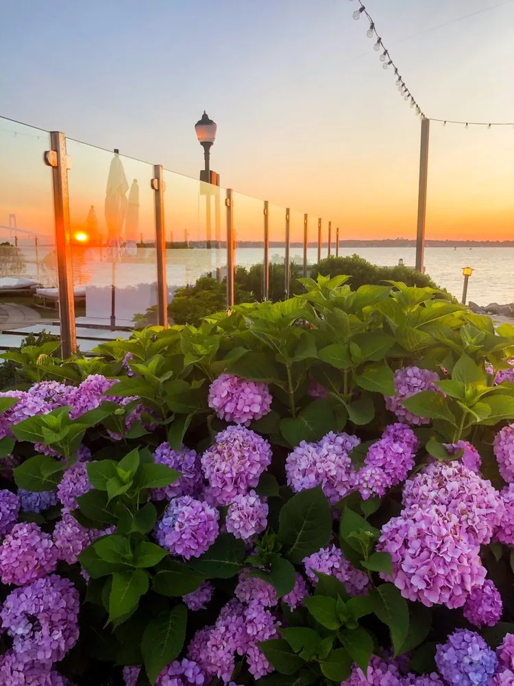 Trusted yard cleanup service experts serving Newport, RI - Bourne Green Horticulture