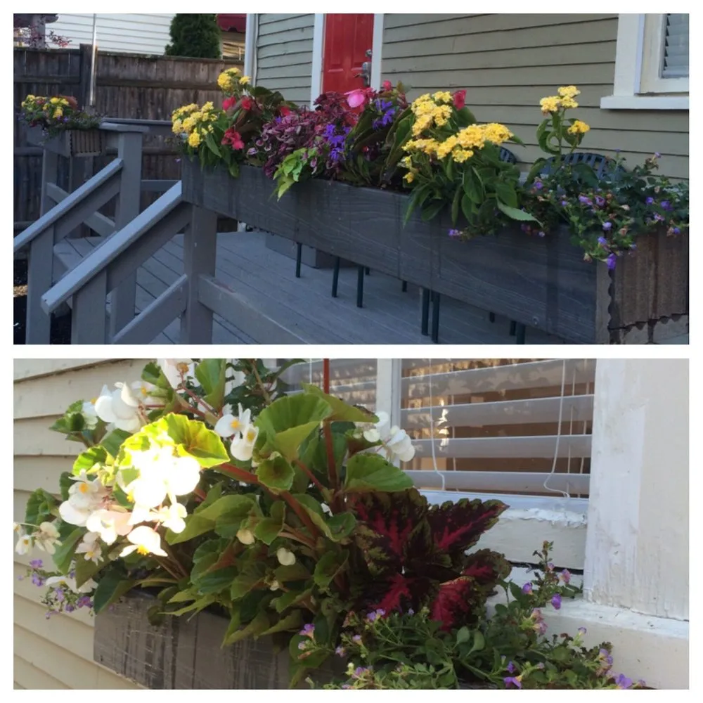 Trusted outdoor landscaping in Newport, RI - Bourne Green Horticulture