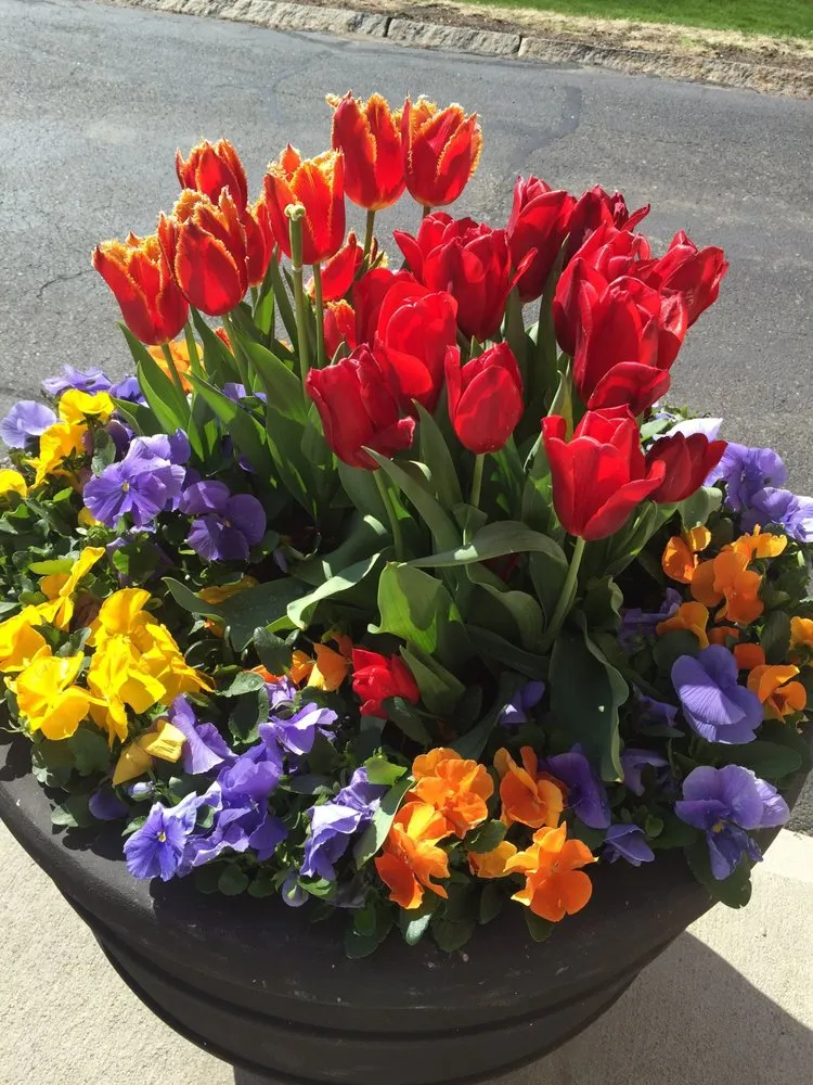 Reliable outdoor landscaping experts serving Newport, RI - Bourne Green Horticulture