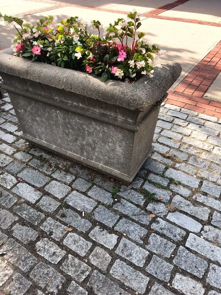 Trusted lawn care service in Newport, RI by Bourne Green Horticulture