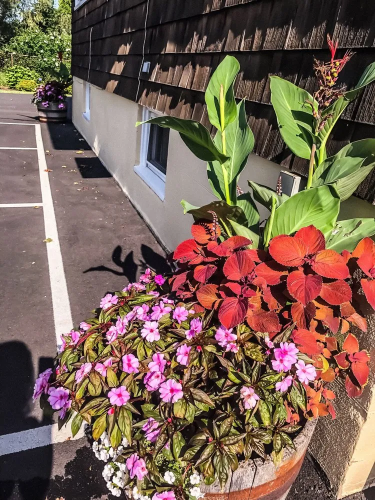 Trusted lawn mowing service in Newport, RI - Bourne Green Horticulture