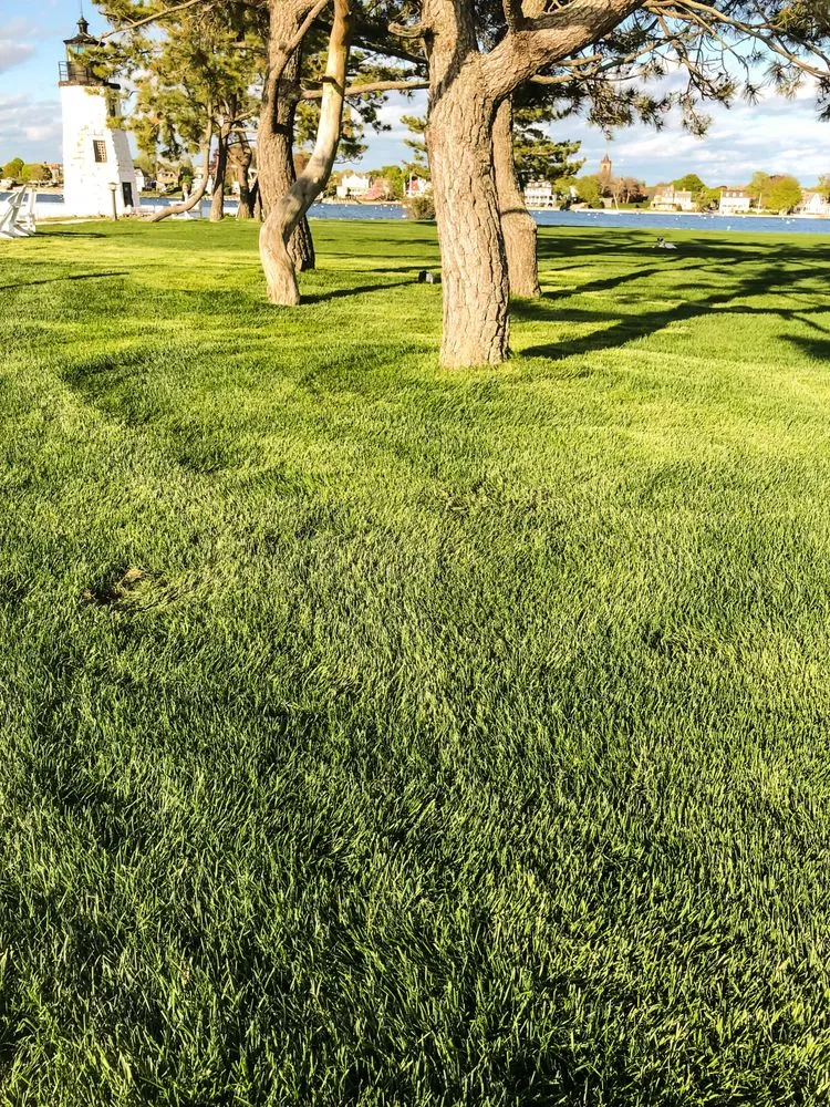 Expert yard maintenance in Newport, RI - Bourne Green Horticulture