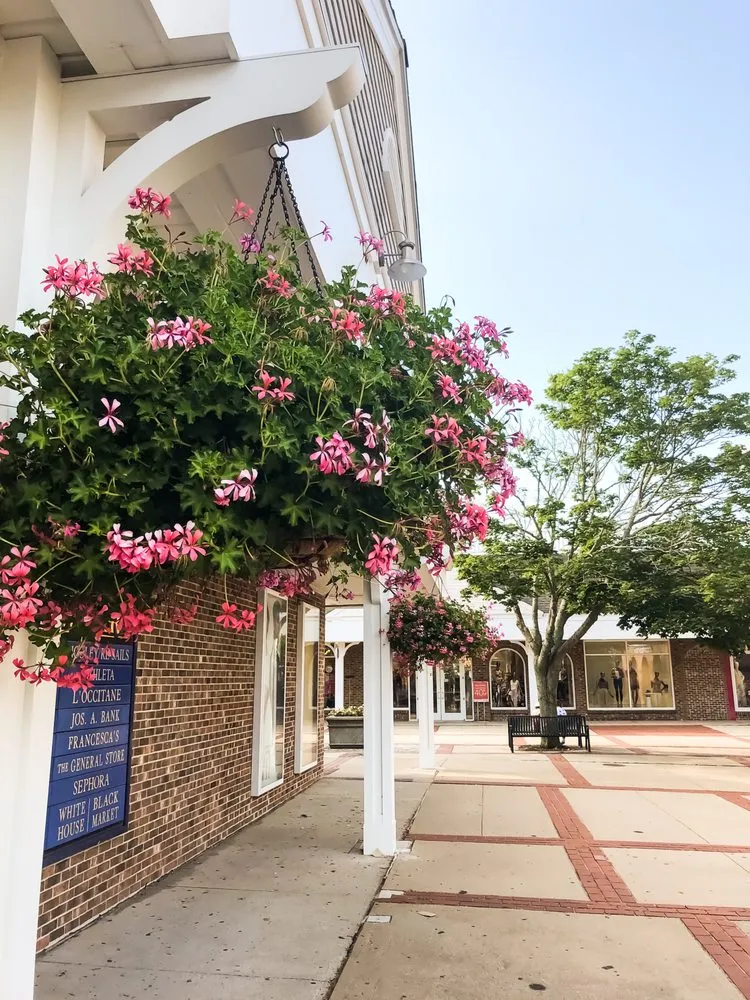Expert landscape design for beautiful yards across Newport, RI - Bourne Green Horticulture