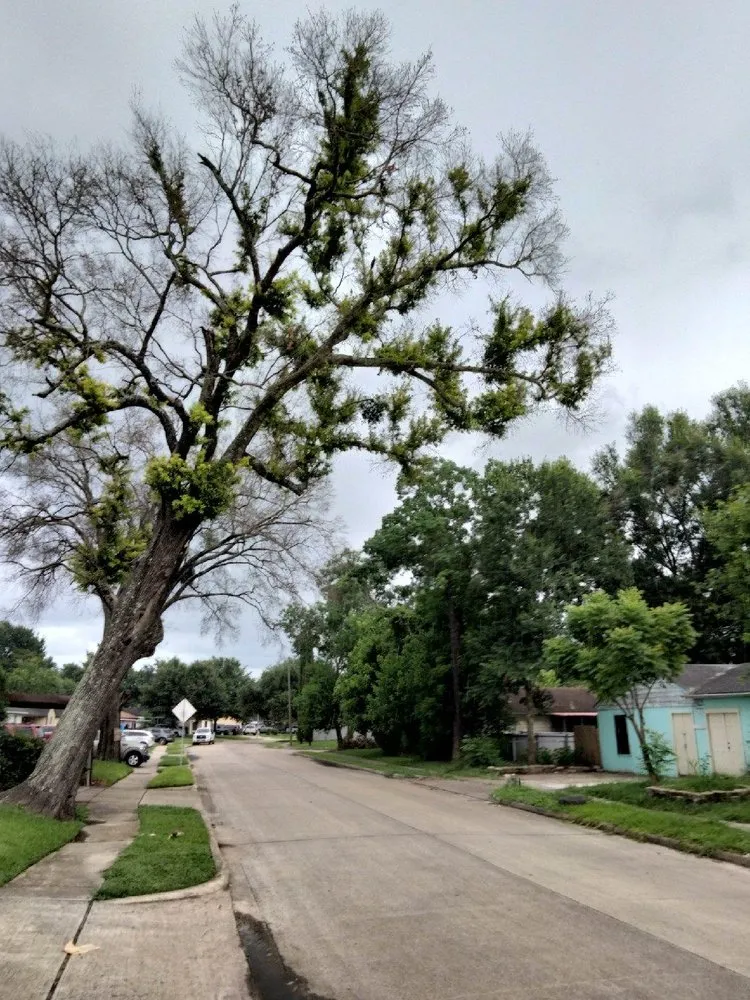 Expert landscape installation experts serving Tyler, TX - Boutin Brothers Property Services