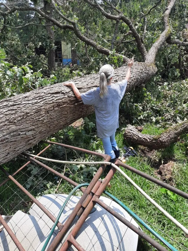 Reliable garden landscaping in Tyler, TX - Boutin Brothers Property Services