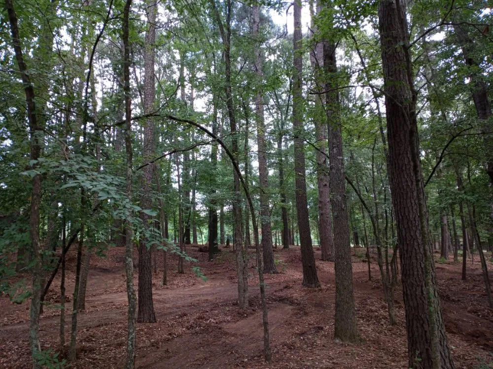 Top-rated residential landscaping in Tyler, TX by Boutin Brothers Property Services