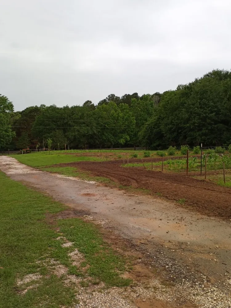 Reliable lawn mowing service in Tyler, TX - Boutin Brothers Property Services