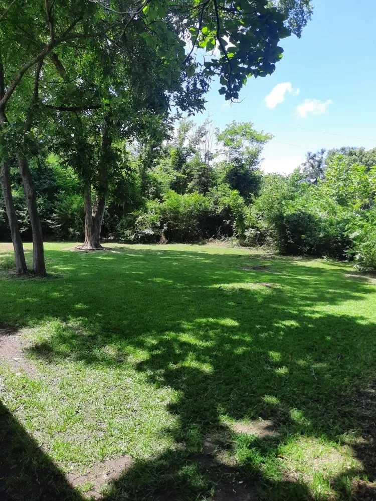 Trusted yard maintenance experts serving Tyler, TX - Boutin Brothers Property Services