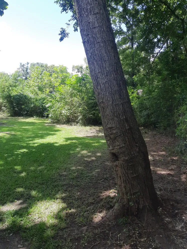 Custom landscape installation experts serving Tyler, TX - Boutin Brothers Property Services