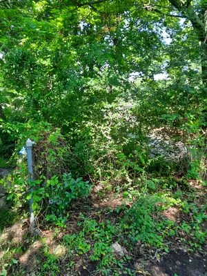 Boutin Brothers Property Services Logo