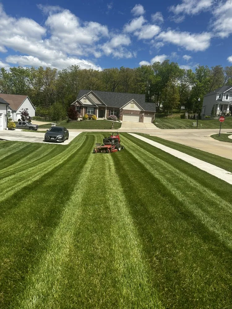 Expert yard cleanup service in St. Peters, MO - Bova Landscape