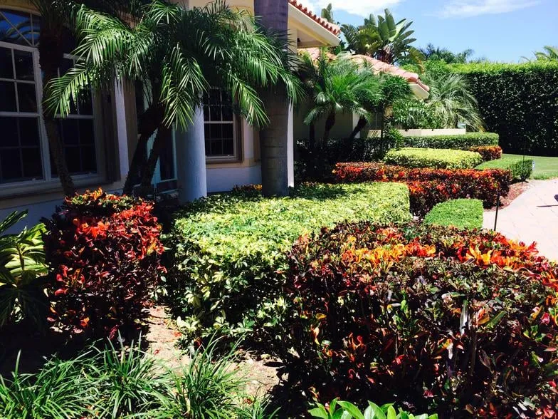 Reliable lawn mowing service for beautiful yards in West Palm Beach, FL by Bove Turf & Landscape