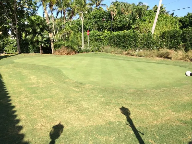 Expert yard cleanup service in West Palm Beach, FL - Bove Turf & Landscape