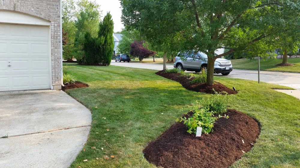 Professional yard cleanup service near you across Saint Louis, MO - Bow Man Mulching