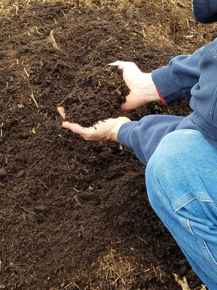 Trusted yard maintenance for year-round maintenance in Saint Louis, MO by Bow Man Mulching